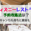 猫カフェ 東京で抱っこできるところは 子どもokもご紹介 トレンドスパーク